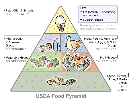 Grocery Guide Pyramid